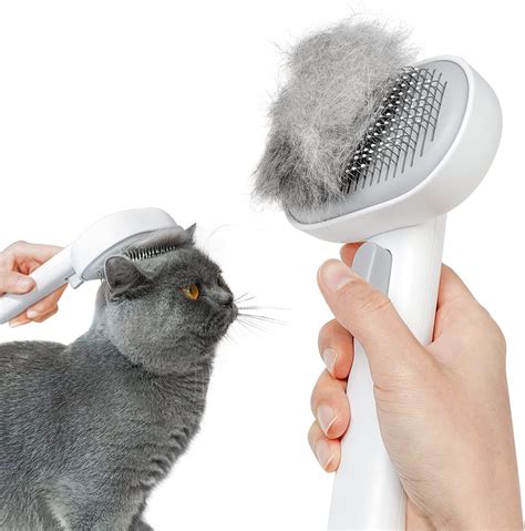 Best Cat Brush