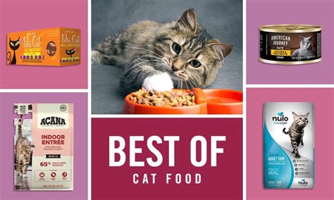 best cat food ratings