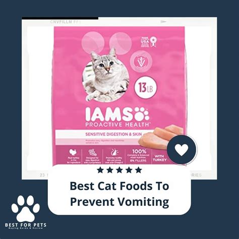 best cat food to prevent vomiting