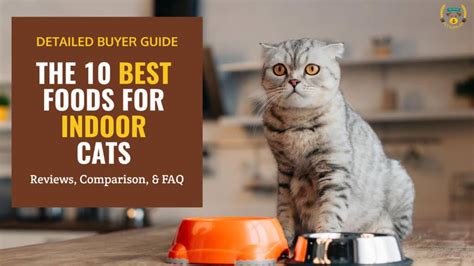 best cat foods for indoor cats reddit