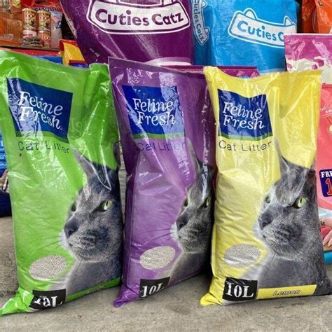 Best Cat Sand Litter
