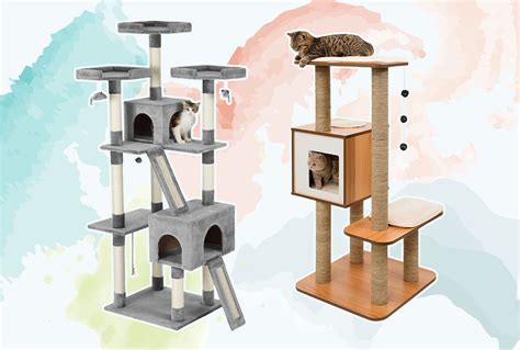 Best Cat Tree For Playing