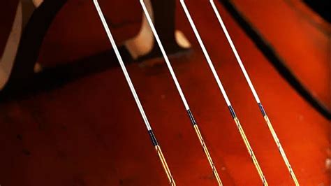 Best Cello Strings
