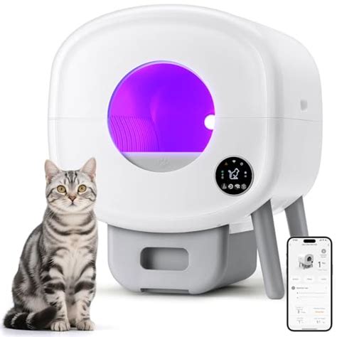 Best Cheap Automatic Litter Box