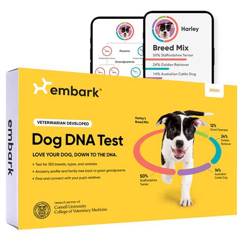 best cheap dog dna test