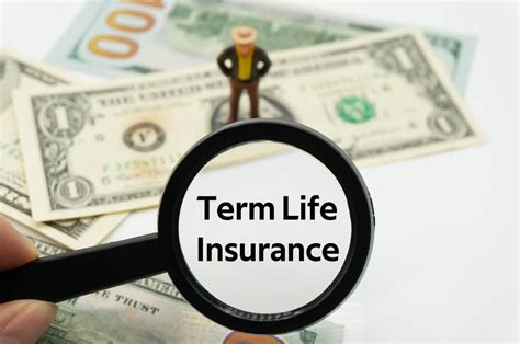 best cheap term life insurance reviews