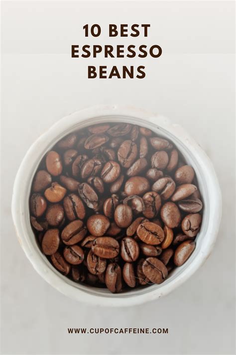 Best Coffee Bean Selection