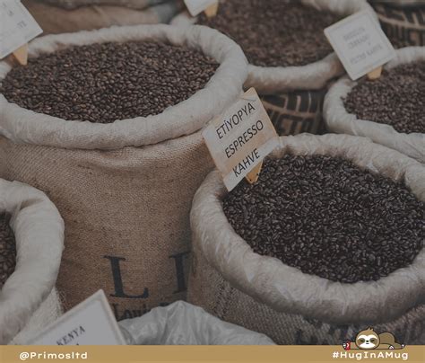 Best Coffee Beans Storage