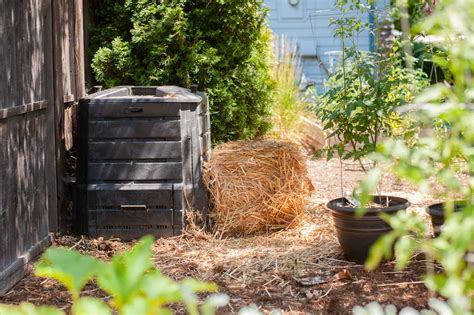 Best Compost Bin Wirecutter