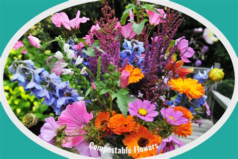 Best Compost Flowers