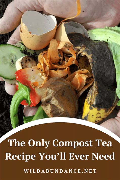 Best Compost For Compost Tea