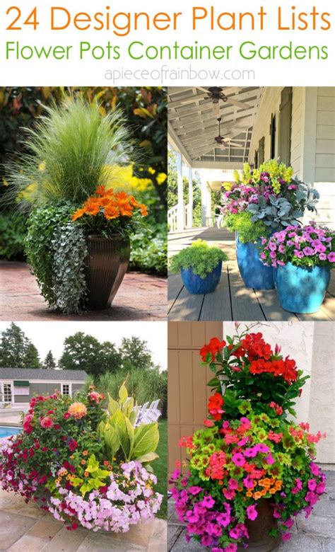 Best Container Plant Designs