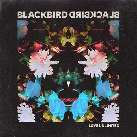 best cover of blackbird