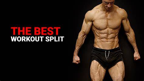 best creative beautiful best best fitness workout tutorial tutorial examples
