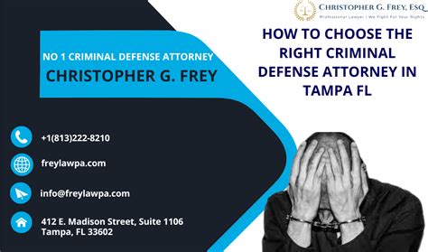 best criminal defense lawyer in tampa