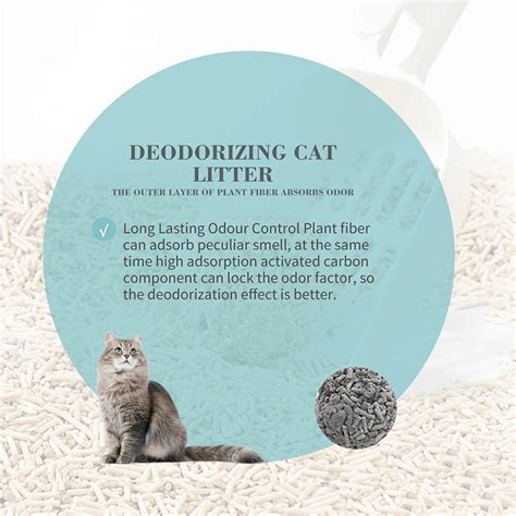 Best Deodorizing Cat Litter