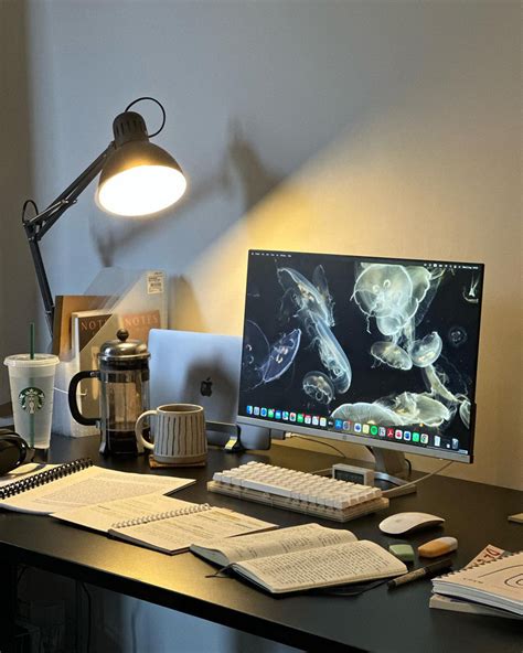 Best Desk Setup For Studying