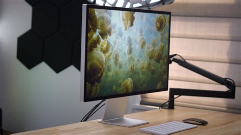 best displays for mac