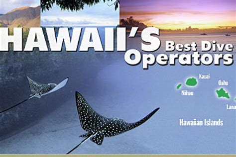 Best Dive Operators Oahu