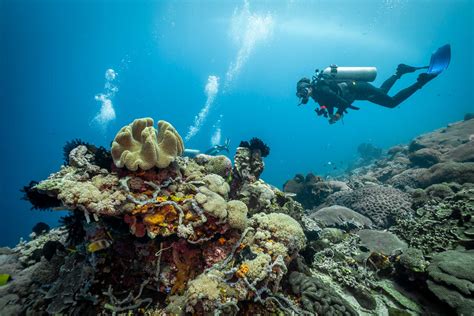 best diving spots in indonesia