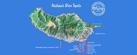 Best Diving Spots Madeira