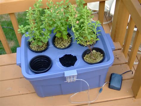 Best Diy Hydroponic System