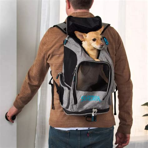 Best Dog Backpack For Backpacking
