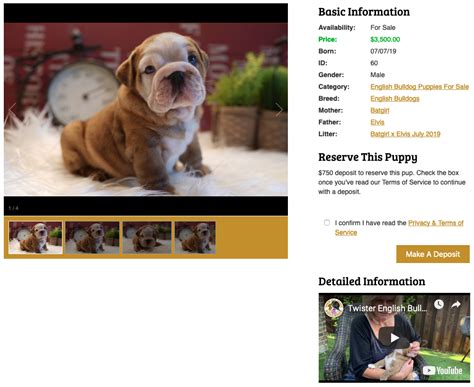 best dog breeder website builder