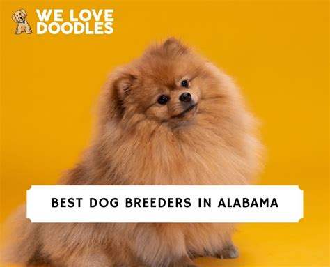 best dog breeders in alabama