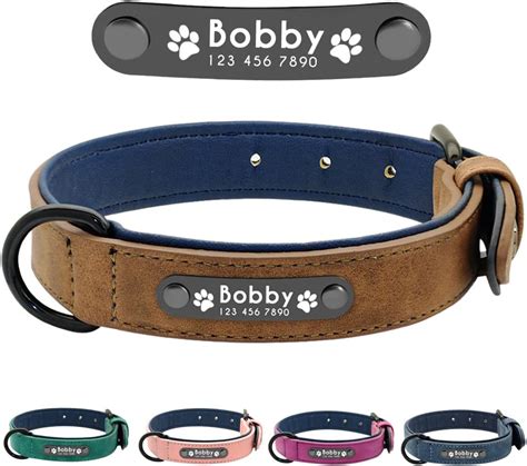 best dog collars uk