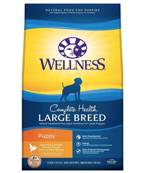 best dog food for large breeds