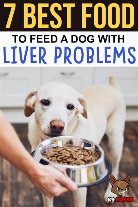 best dog food for liver disease