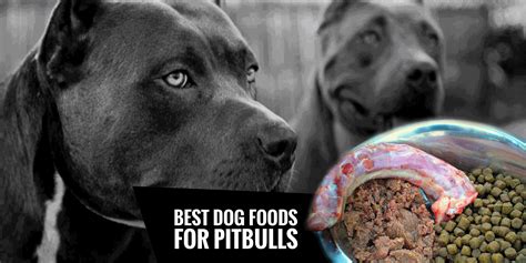 best dog food for pitbull