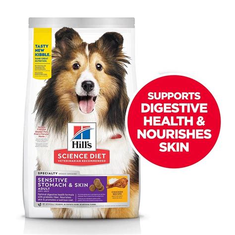 best dog food for sensitive stomach-vomiting