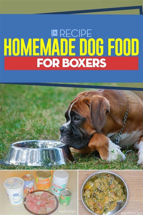best dog food to put weight on boxer