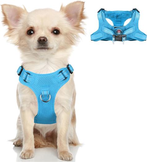 Best Dog Harness Amazon