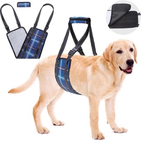 Best Dog Mobility Harness