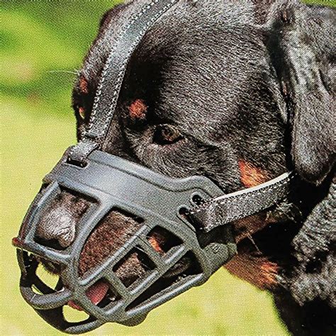 Best Dog Muzzle For Biting