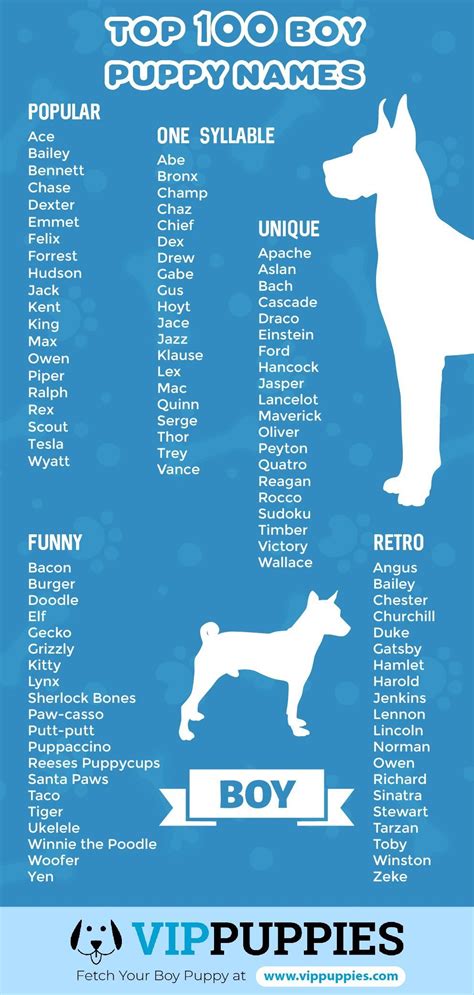 best dog names male unique
