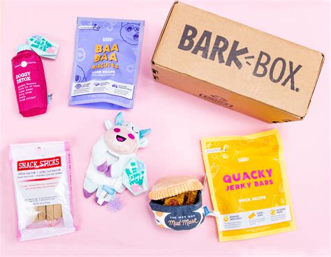 8 Things best dog subscription box services pawsome finds for dogs