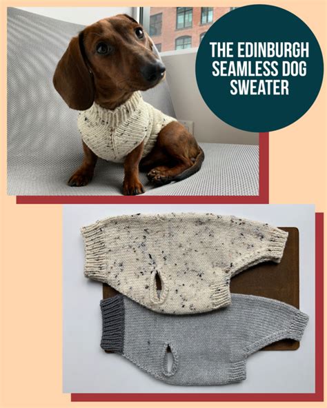 Best Dog Sweater Knitting Pattern