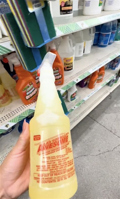 Best Dollar Tree Cleaner