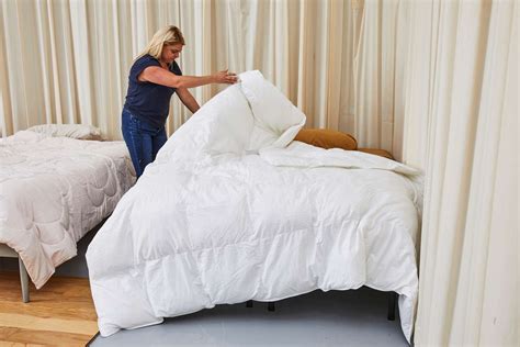Best Down Free Comforter