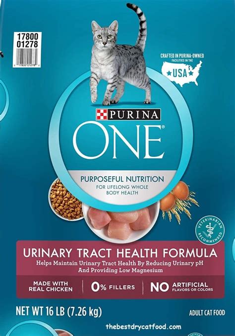 best dry cat food for urinary health