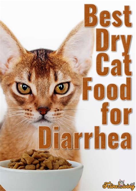 best dry food for cats with diarrhea