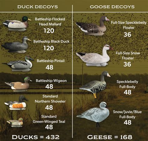 Best Duck Decoy Spread