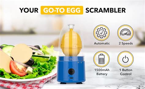 Best Egg Mixer