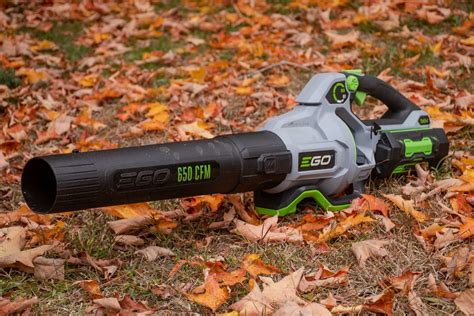 Best Electric Leaf Blower Wirecutter