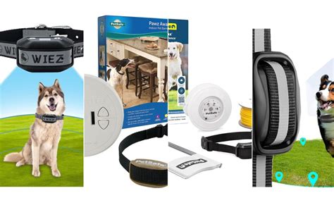 Best Electronic Dog Fences