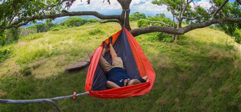 Best Eno Hammock